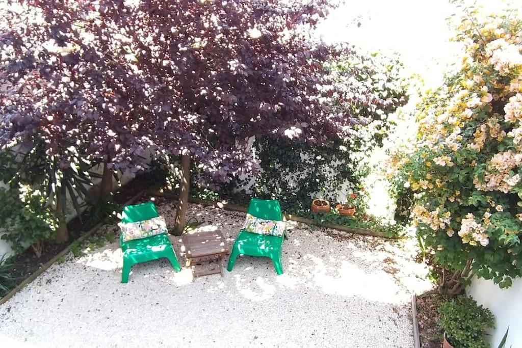 Apartment With Private Garden - Central Location Lisboa Exterior foto