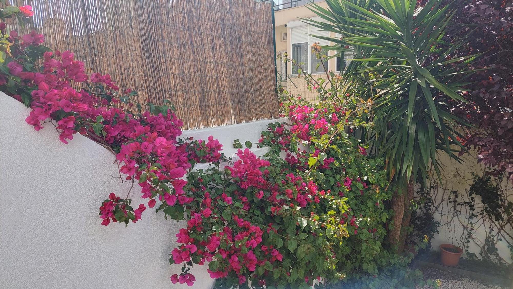 Apartment With Private Garden - Central Location Lisboa Exterior foto